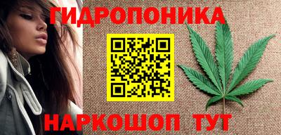 молекула духа Владикавказ