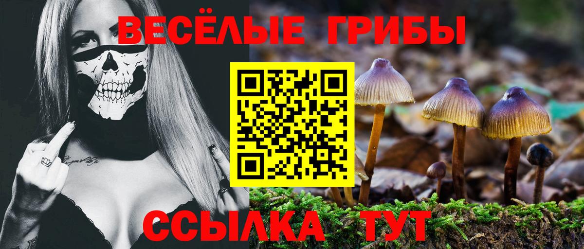 Псилоцибиновые грибы мухоморы Джанкой