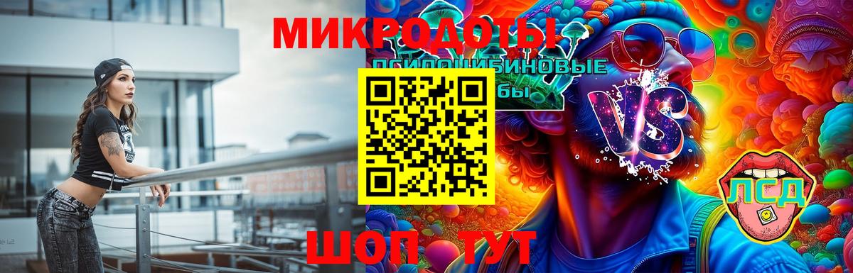 Галлюциногенные грибы MAGIC MUSHROOMS  Вход с VPN  Джанкой 